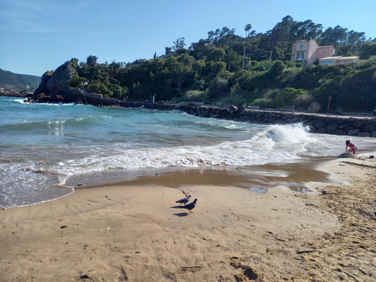 Villa Malibu Mandelieu Dış mekan fotoğraf